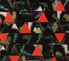Kris Davis’ Diatom Ribbons  LIVE AT THE VILLAGE VANGUARD.jpg